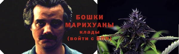 стаф Сосновоборск