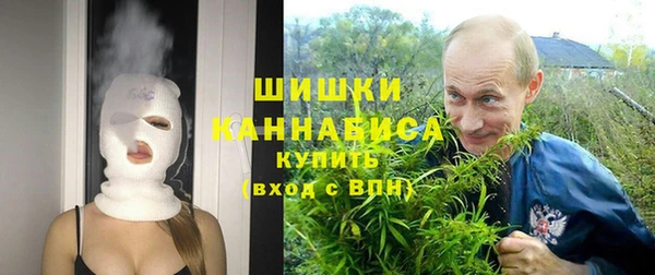 стаф Сосновоборск