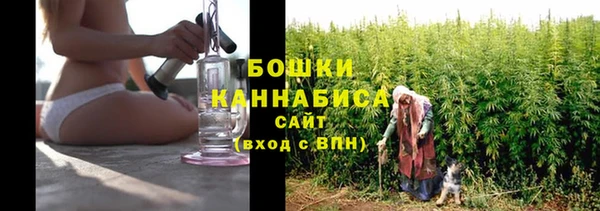 стаф Сосновоборск