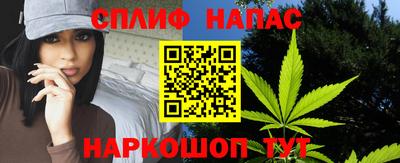 амф Дубна