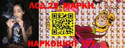 прущие грибы Донской