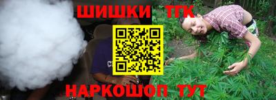 амф Дубна