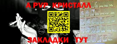 амф Дубна