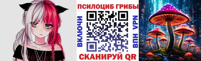 купить   Выборг  Галлюциногенные грибы Psilocybine cubensis 