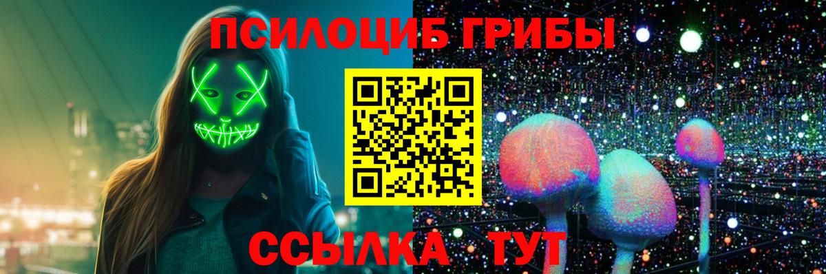 Псилоцибиновые грибы Psilocybe  Выборг 