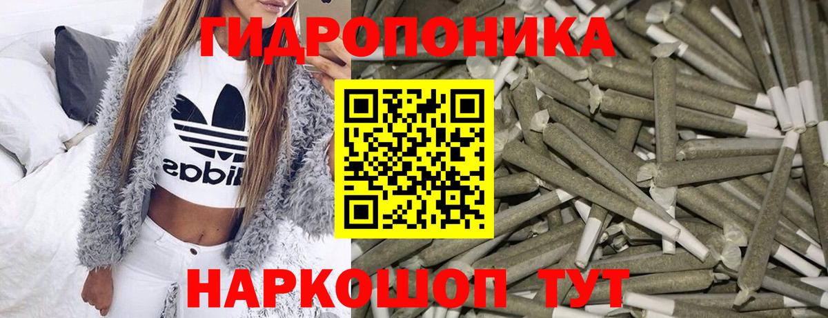 Канабис Ganja Выборг